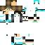 Texture for ds