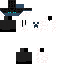 Texture for Animation 