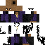 Texture for penguinzero