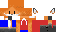 Texture for fox 2