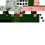 Texture for cerdo map really