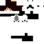 Texture for 小熊猫