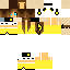 Texture for pichu