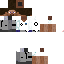Texture for Steve SCPF Researcher