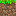 Texture for grassblock