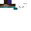 Texture for mini steve