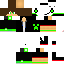 Texture for sashou