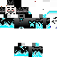 Texture for CouronnePuma550 hackeur