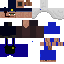 Texture for Vindicator swat