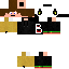 Texture for steve