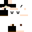 Texture for T2B2