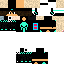Texture for steve