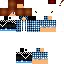 Texture for B4ruc G4mes