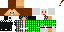 Texture for Felix