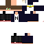 Texture for trex