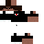 Texture for Agent_Steve