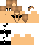 Texture for losh