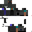 Texture for maxmant 