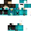Texture for andregamer