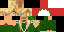 Texture for turtle