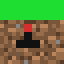 Texture for grass_block