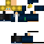 Texture for Schwitzer_PvPpro