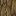 Texture for oak_log