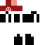 Texture for SGDB
