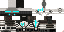 Texture for DS1