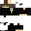 Texture for pdg informatique