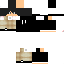Texture for steve1