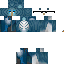 Texture for Stealthx