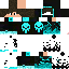 Texture for STEVE