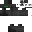 Texture for Lucas Dvx