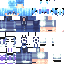 Texture for PGZ501