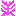 Texture for napim