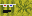 Texture for bashur