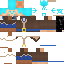 Texture for IceWizardTR