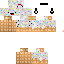 Texture for ds