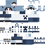 Texture for Steve
