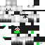 Texture for 12345
