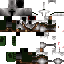 Texture for Green Knight