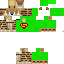 Texture for steve