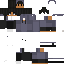 Texture for ss