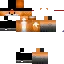 Texture for Dese