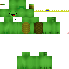 Texture for turtle