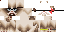 Texture for fabu-grumpy cat