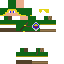 Texture for Link