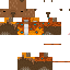 Texture for Kapibara