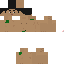 Texture for g